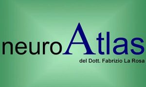 logo-big-neuroatlas-trattamento-colpo-di-frusta-sublussazione-dell'atlante-min